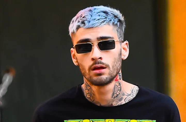 Zayn Malik Net Worth 2022